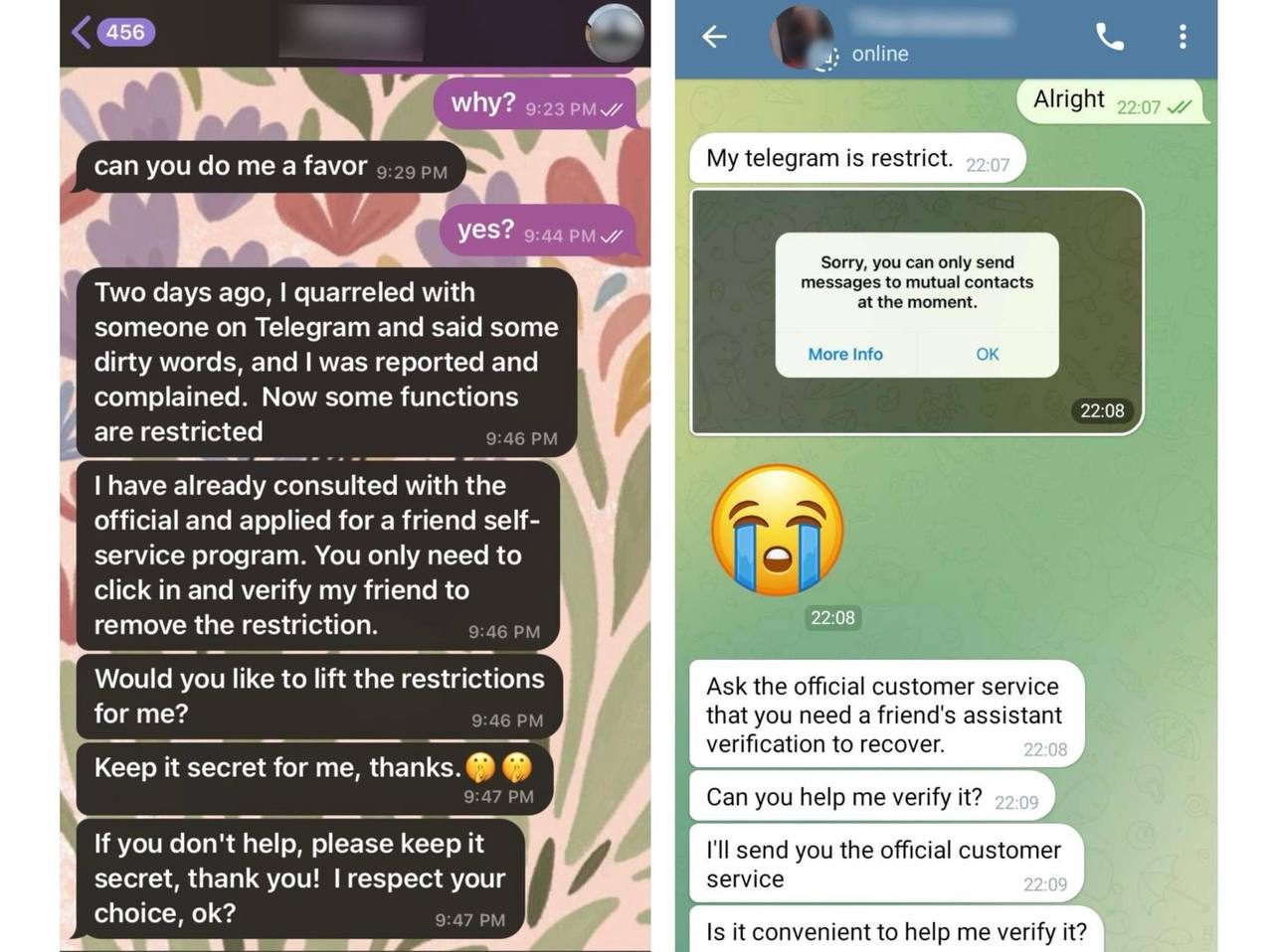 2. Common Telegram Fake Support Scenarios